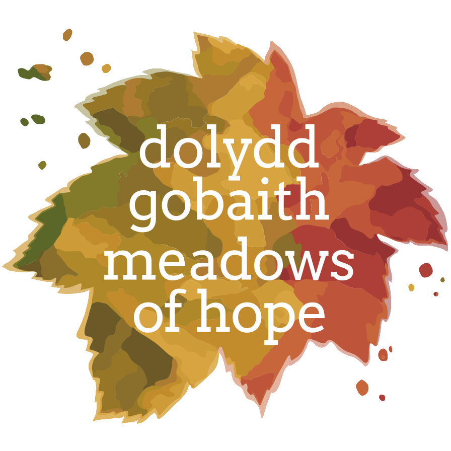 Dolydd Gobaith