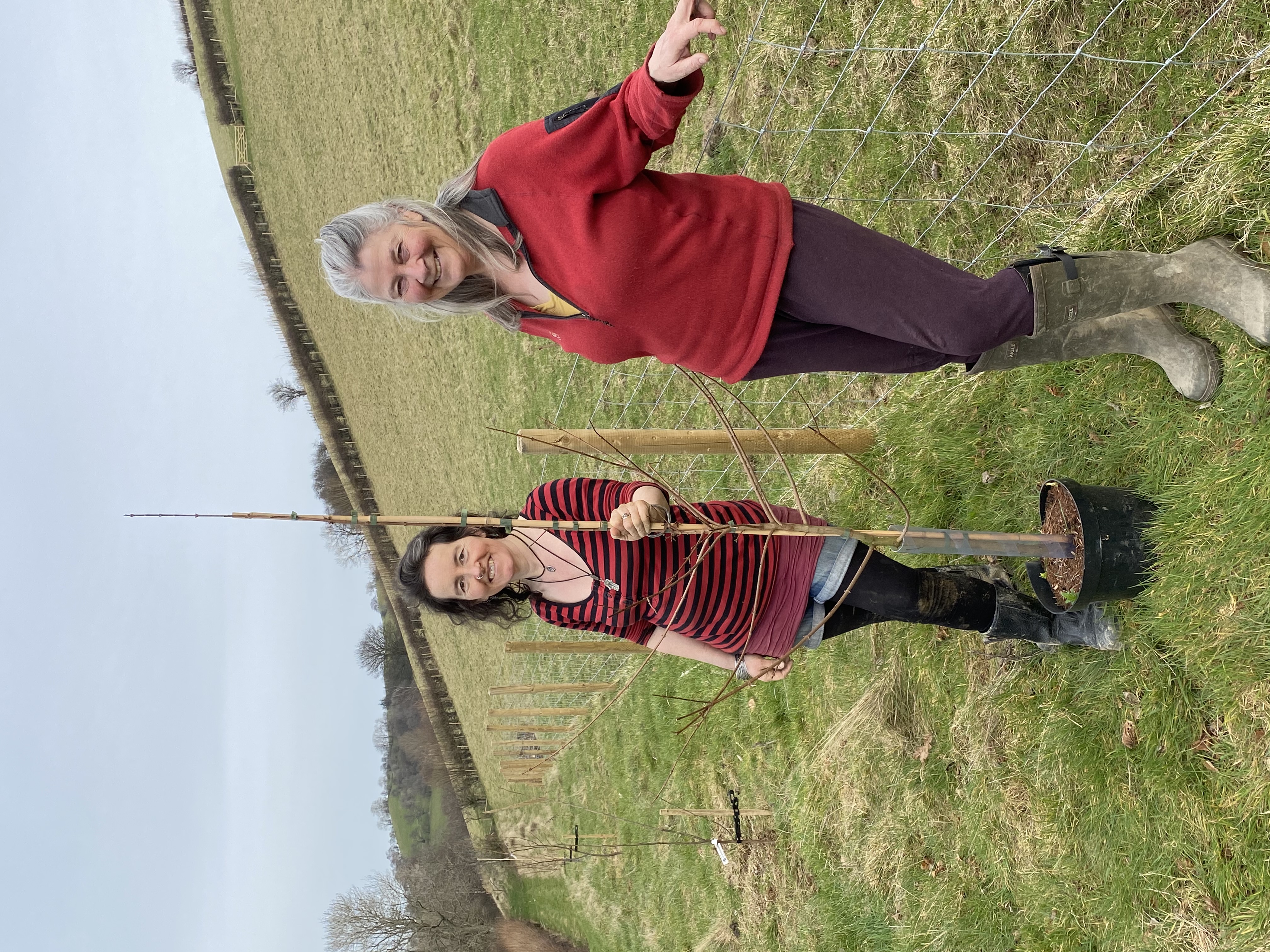 View over Dolydd Gobaith